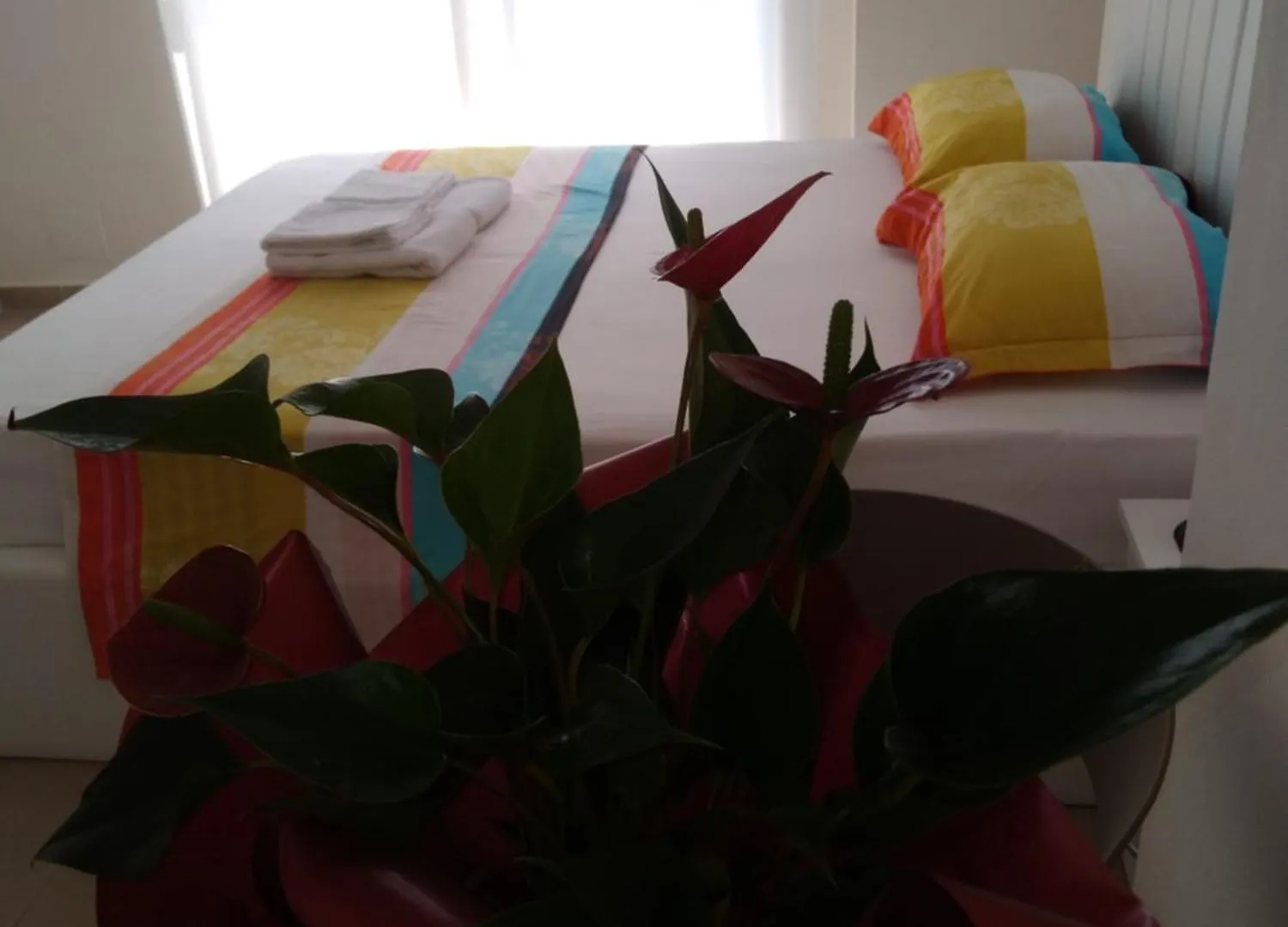 Affittacamere Arli Eris Rent Rooms Vlorë Albania